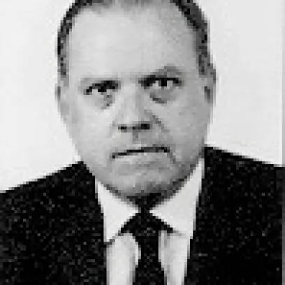 NATALINO RONZITTI
