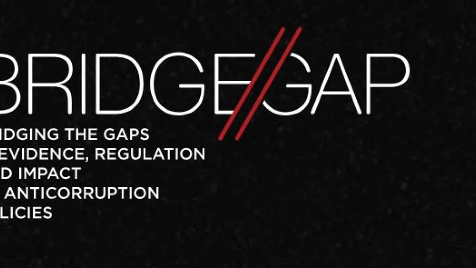 logo bridgegap