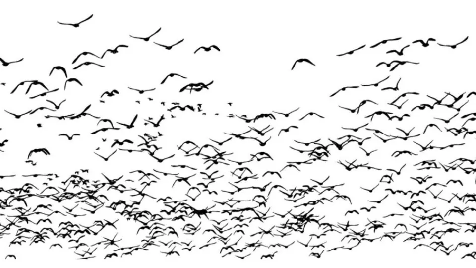 image-19 Mar 2020 - 3:38pm