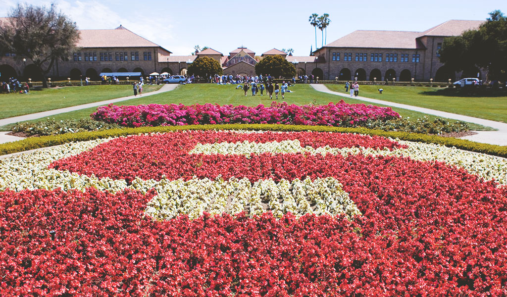 Stanford Summer Term Luiss