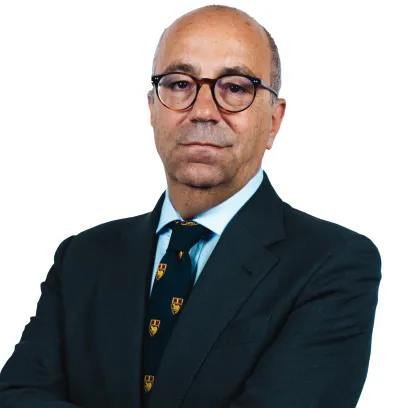 ANDREA MONTANINO
