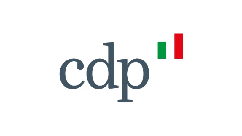 Partner